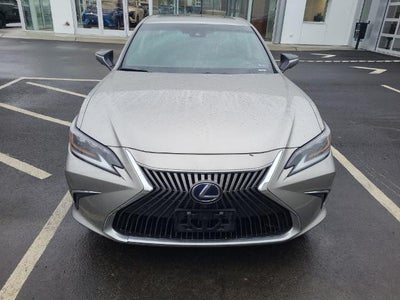 2021 Lexus ES Luxury